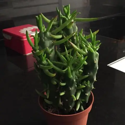 Как я могу быстро упомянуть на Facebook?