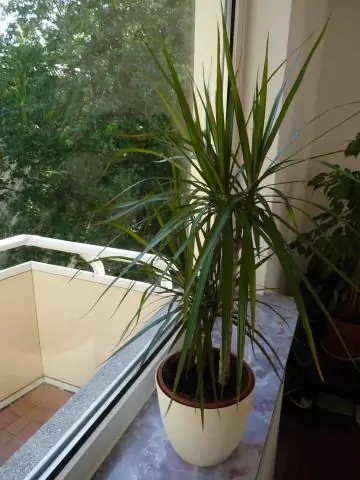 Чем занимается компания TeleTech?