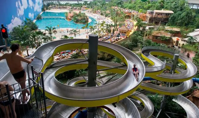 Какая степень бакалавра в Интернете самая быстрая?