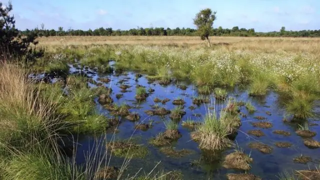 Что означает профессиональное использование?