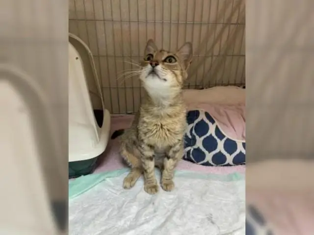 Дружелюбна ли Икеа к уголовникам?