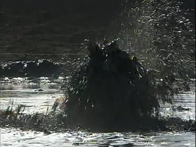 Какое лучшее определение инклюзивности?