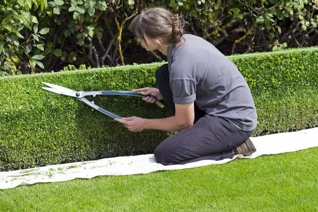 Имеет ли значение адрес электронной почты в резюме?