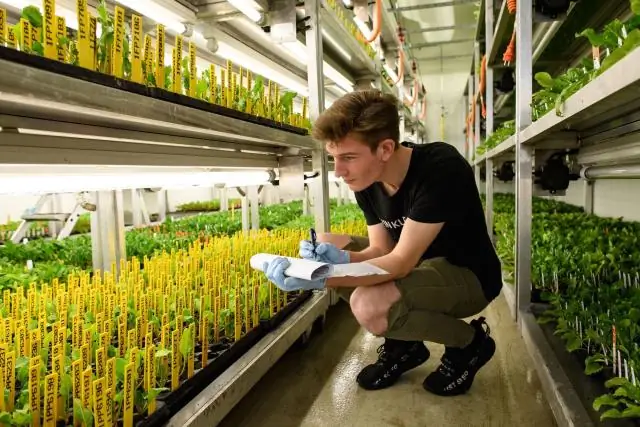 Какая начальная зарплата клерка IBPS?