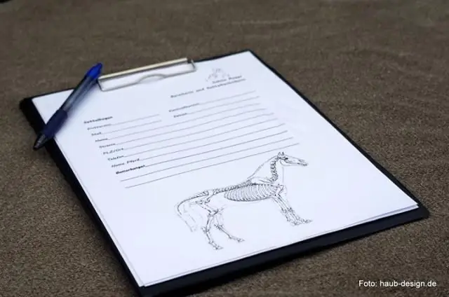 Как я могу проверить баланс своего счета в союзном банке в Интернете?