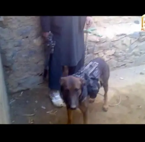 Как получить воинское звание на знаках отличия?