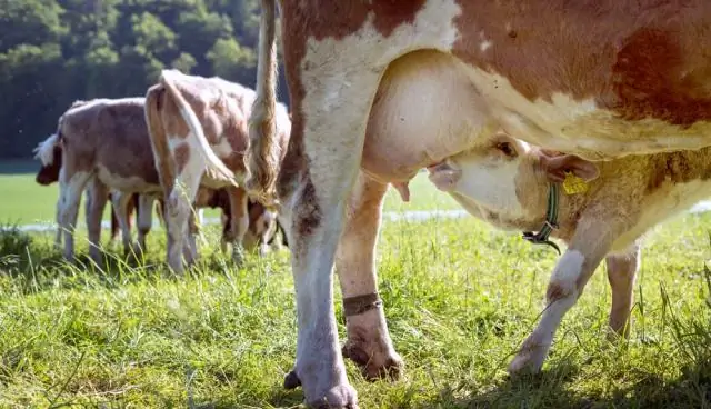 Что означает Nof с медицинской точки зрения?