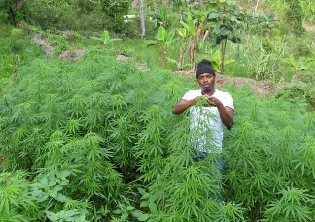 В чем смысл дискреционного траста?