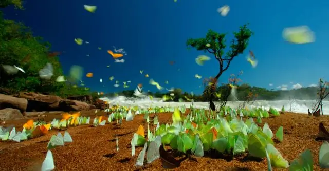 Что является антонимом филантропии?