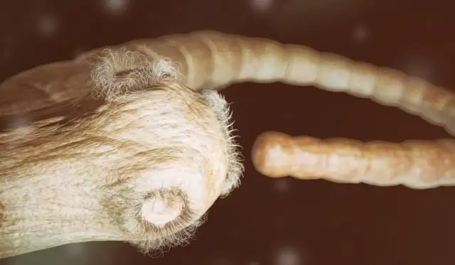 Как вы конвертируете PSI в GPM?