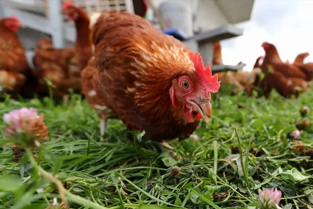 Что произойдет, если продавец не выполнит задание в срок?