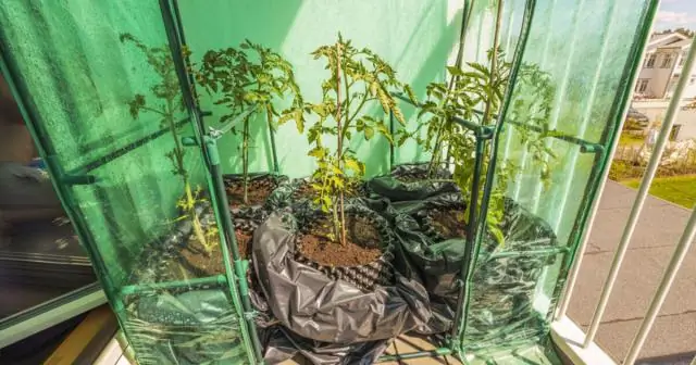 Могу ли я построить дом без денег?