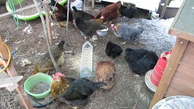 Как вы загружаете скобы в PowerShot?