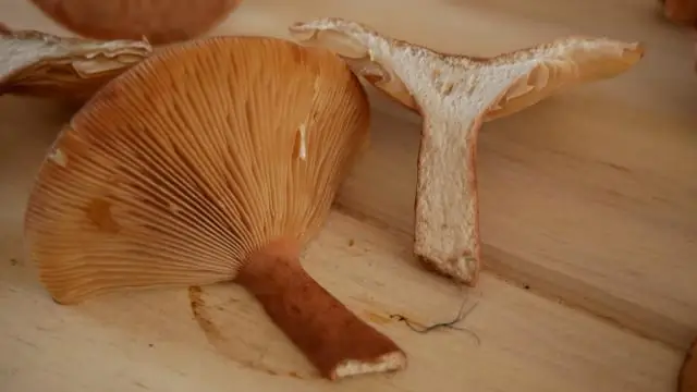 Как зарегистрировать свою карту Citi?