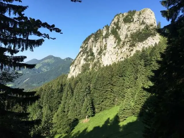 Кто создал CDO?