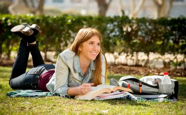 Могу ли я требовать инструменты для уплаты налогов?