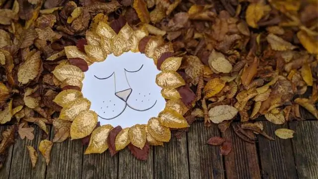 Что можно сделать из пластиковых контейнеров для кофе?