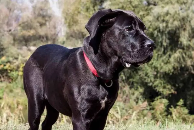 Что означает зарезервировано для использования NUCC?