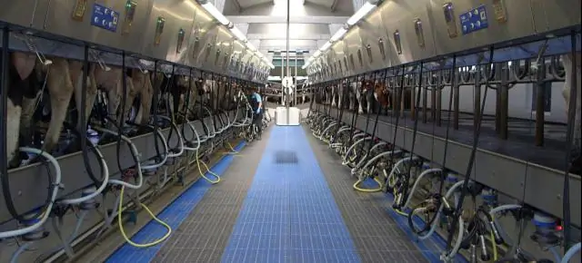 Что избавили от дедушкиной оговорки?