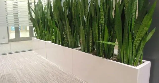 Для чего нужен Swms?