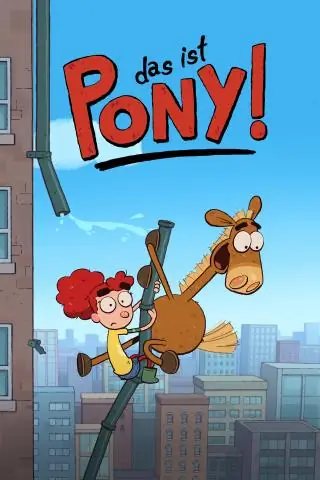 Что такое премиальное финансирование?