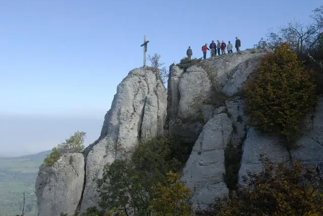 Для чего нужна внутренняя охрана?