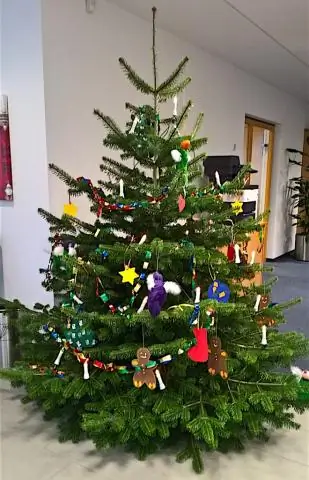 Был ли у вас шанс Значение?