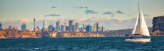 Насколько хорош SBI Small Cap Fund?