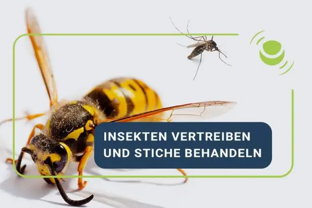 От каких насекомых отталкиваются живые изгороди?