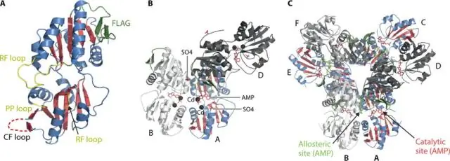 Что такое вклад PRPP?