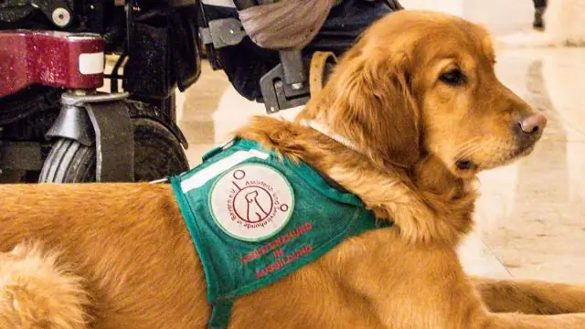 Для чего используется форма W 2?