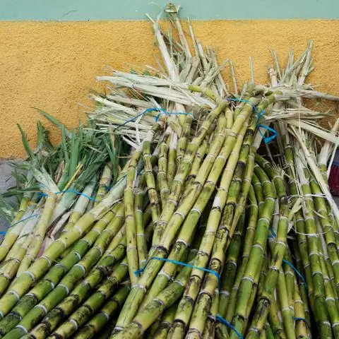 Как избавиться от биоразлагаемого арахиса в упаковке?