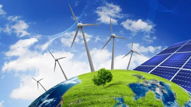 Какая польза от бобов?