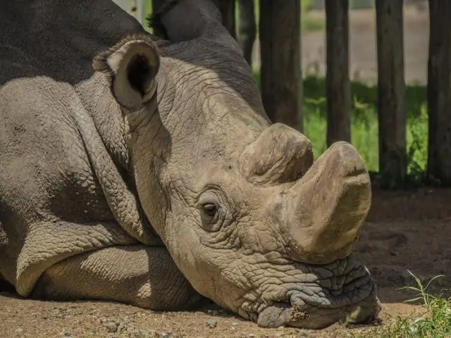 В чем разница между процентами и пунктами?