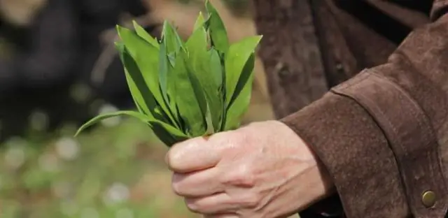 Почему они называются Временной ИРА?