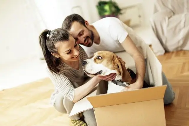 Платить задаток за строительные работы - это нормально?