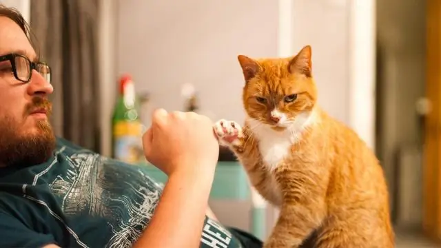 Какой пример благотворительности?