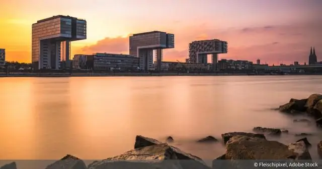 Сколько лет над живой изгородью?