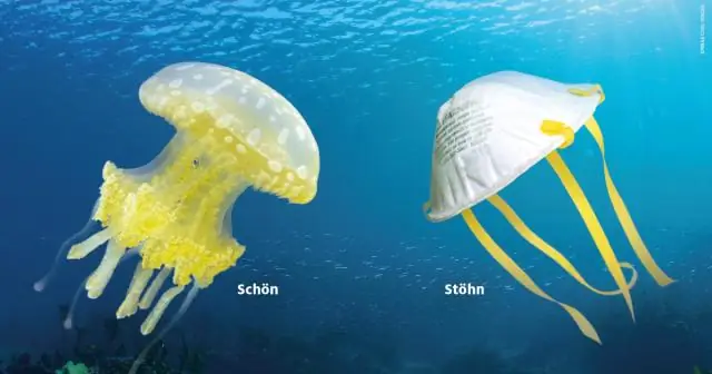 Является ли алюминиевая фольга биоразлагаемой?