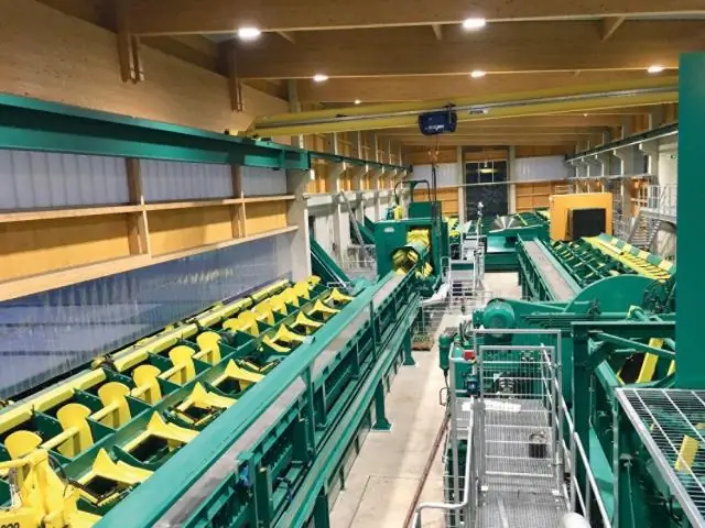 Как древоточцы попадают в древесину?