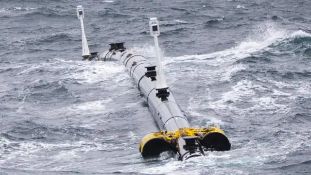 Что стало причиной Большого Тихоокеанского мусорного поля?