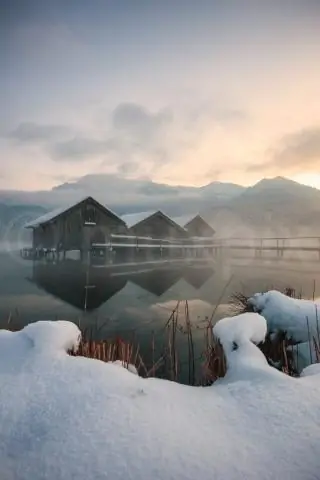 Для чего используется форма W 2? Зачем она вам?