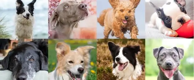 Почему 16-я поправка важна для бюджетного федерализма?