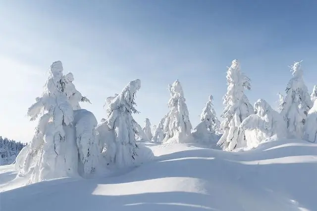 Насколько холодно в Великобритании зимой?