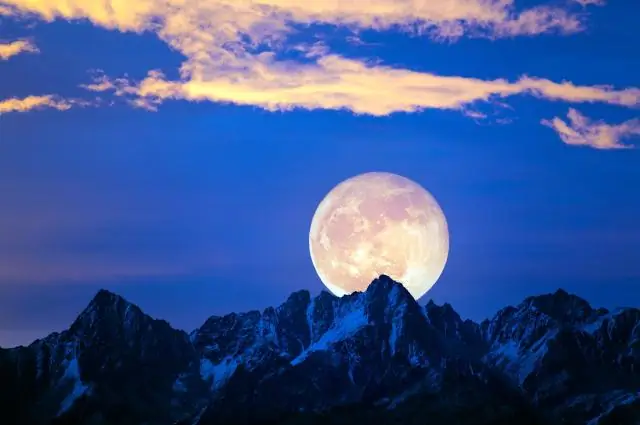 В чем смысл отраслевой партии?