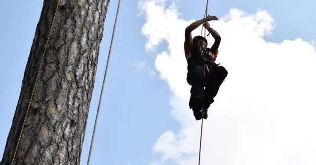 Национальный зал славы изобретателей объявляет победителей года