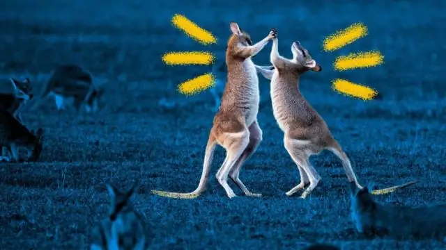 Плохое настроение или депрессия? Вот как вы можете сказать разницу