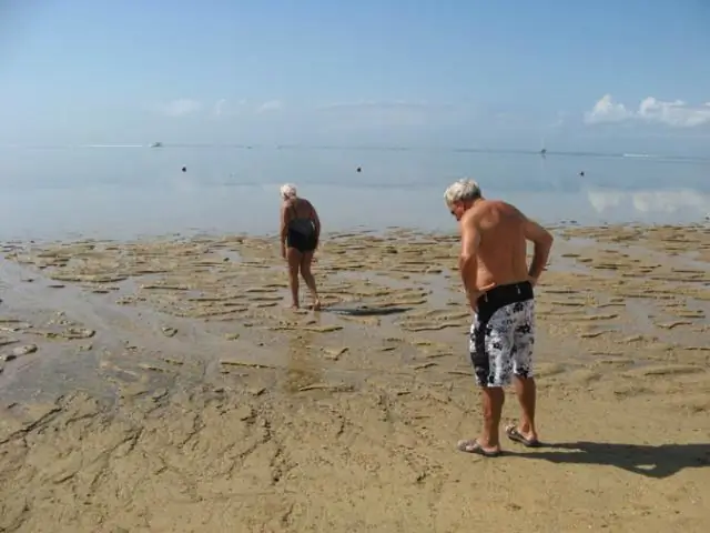Операция в бикини начинается с употребления морской воды