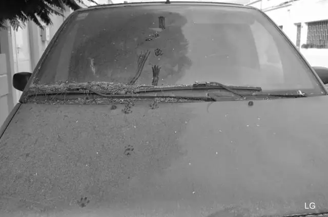 Ана Патрисия Ботин Собственный капитал: Вики, Замужем, Семья, Свадьба, Заработная плата, Братья и сестры