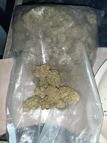 Кен Старр Чистая стоимость: Вики, Женат, Семья, Свадьба, Заработная плата, Братья и сестры